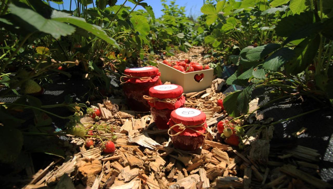 Garden Janša * Radovljica