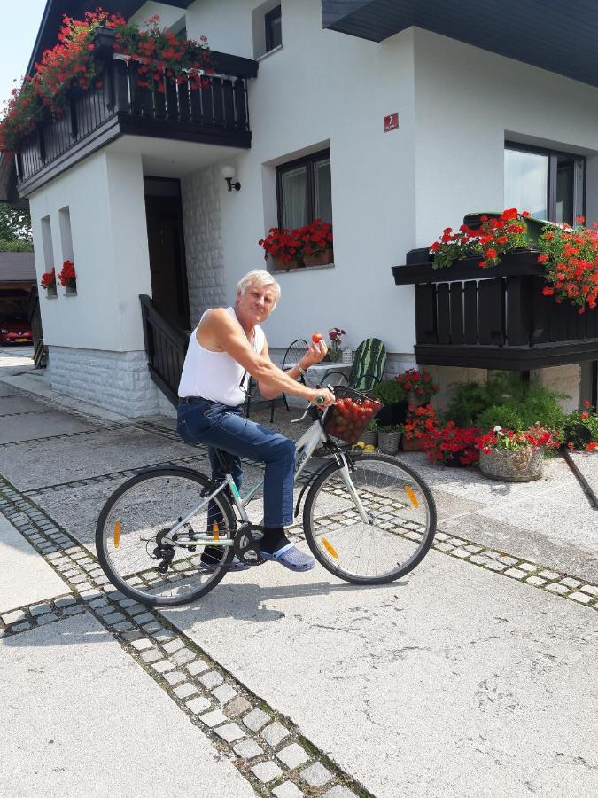 Apartment Garden Janša