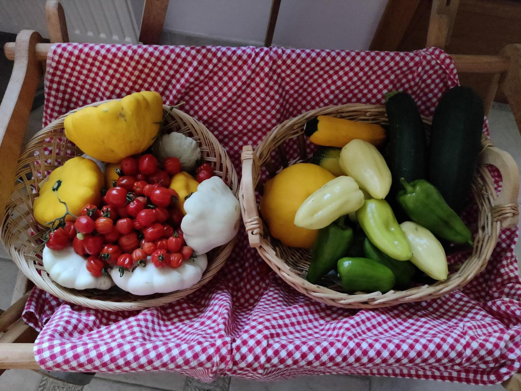 Apartment Garden Janša *